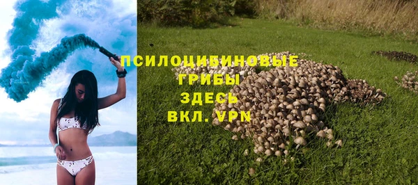 ГАЛЛЮЦИНОГЕННЫЕ ГРИБЫ Киренск