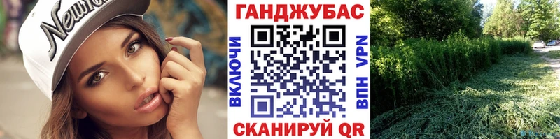 Бошки марихуана Ganja  где можно купить   Котельнич 